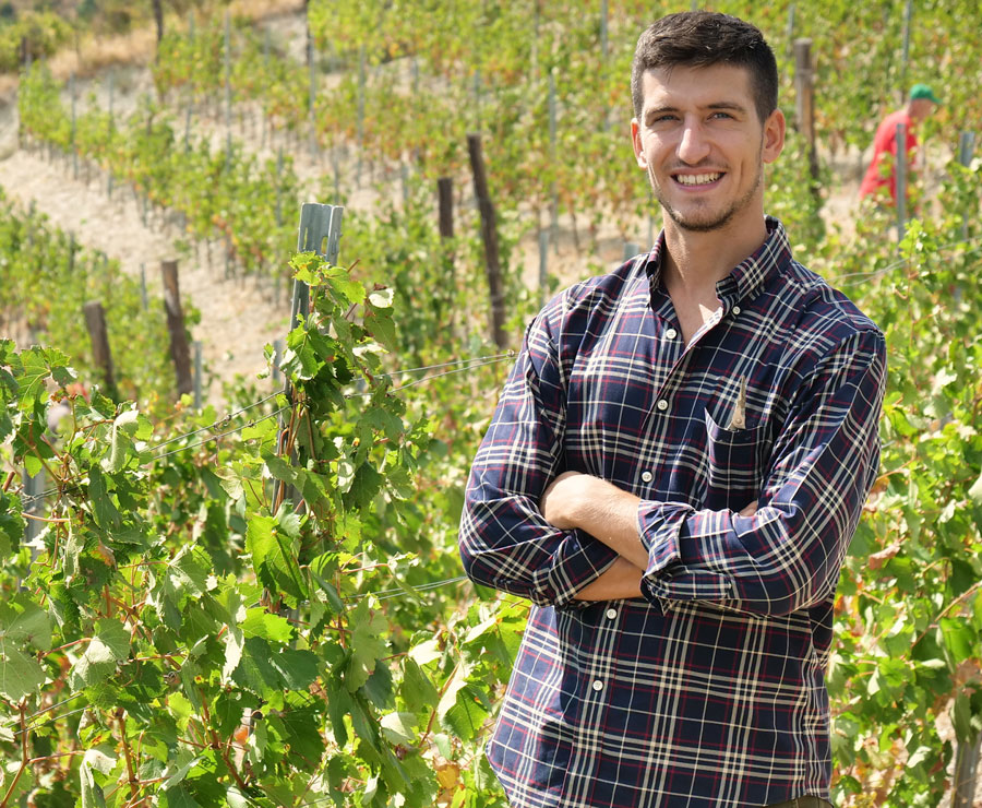 U.S. Expat touring a vineyard harvest in Italy